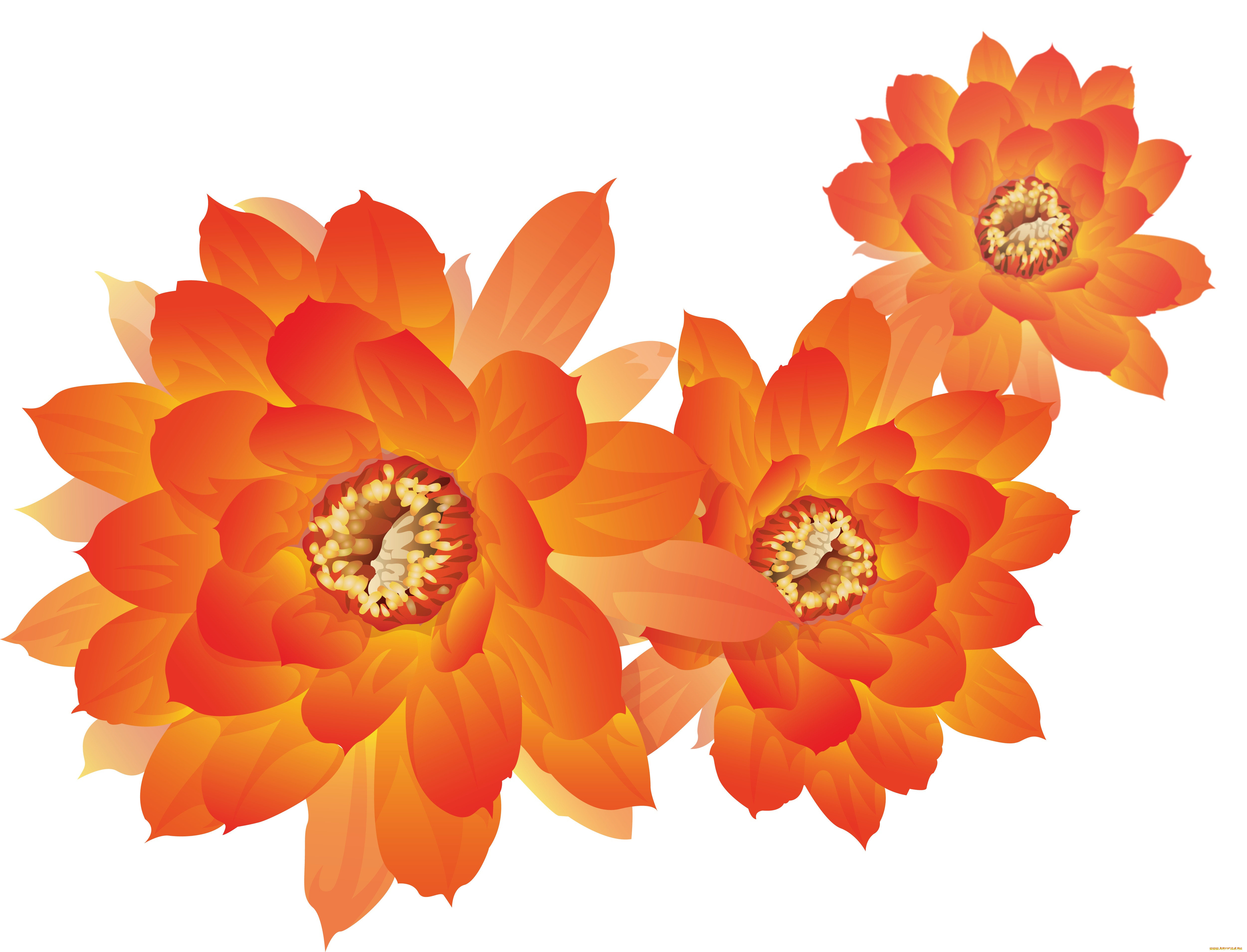  ,  , flowers, , , 